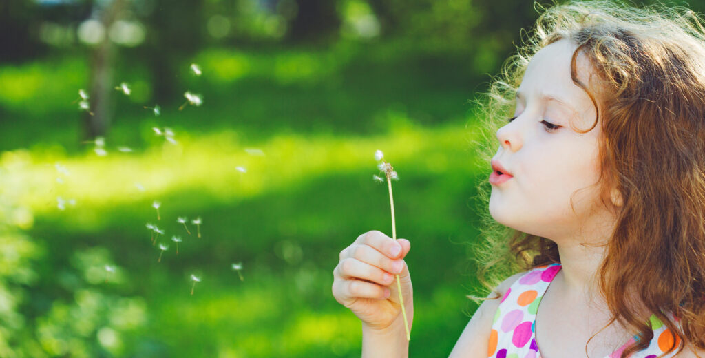 Little curly girl blowing dandelion. Little curly girl blowing dandelion.