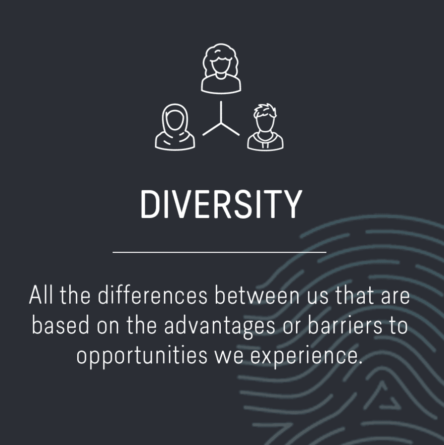 diversity graphic