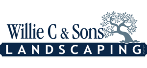 /wp-content/uploads/2023/06/Website-Logo_WillieC-300x140.png