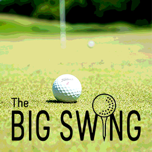 big swing web post