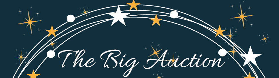 Bid Big Auction copy